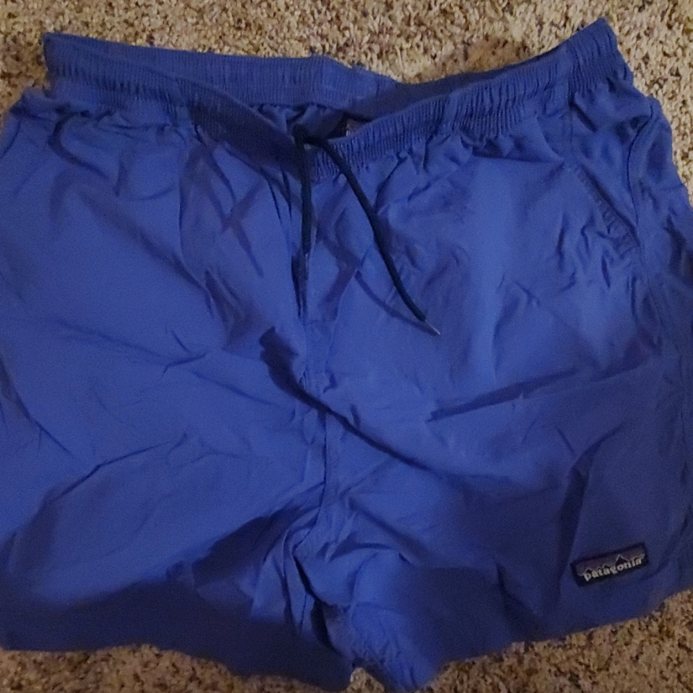 Purple/blue Patagonia shorts